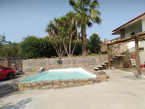 una piscina in un cortile con una palma di Casa Luciano 