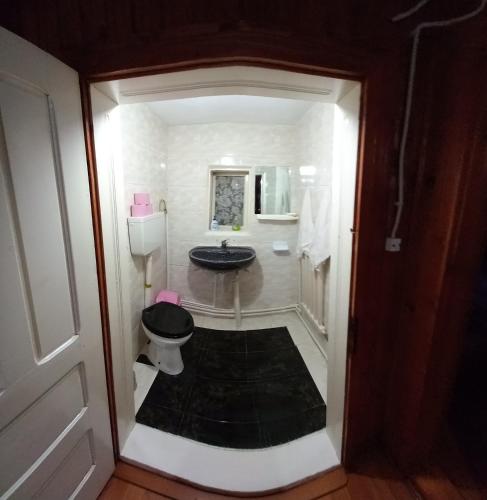 a bathroom with a toilet and a sink at PERLA CĂLIMANILOR in Vatra Dornei