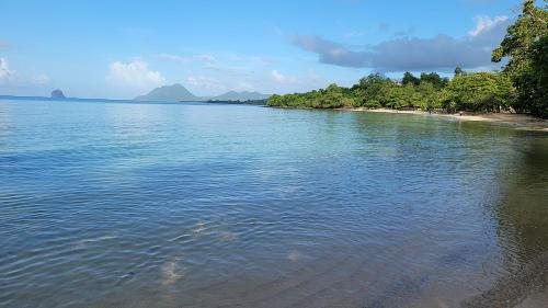 a large body of water with a beach and trees at Villa Stone pour 8 personnes, piscine chauffée 5 euros par jour, accès PMR, 5 étoiles in Sainte-Luce