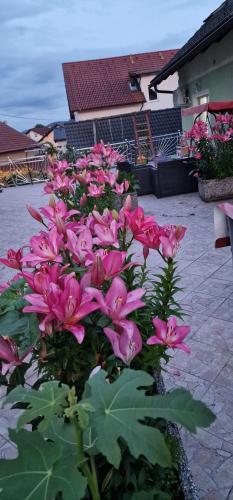 Zahrada ubytování APARTMAN MURKO S-1
