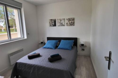 ein Schlafzimmer mit einem Bett mit blauen Kissen und einem Fenster in der Unterkunft Chambre Chez Sandra et Fabien dans petite maison cœur village in Maubec