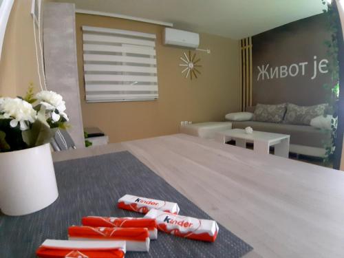 Posezení v ubytování SPA apartments Kraljevo