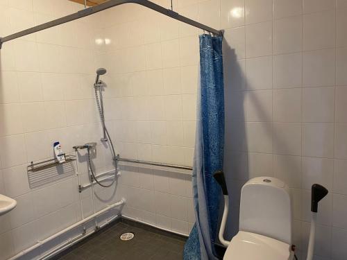 a bathroom with a toilet and a shower at Toila Sadamakapteni tuba in Toila