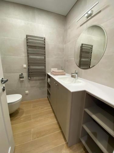 ビルシュトナスにあるApartment-Pine Forest Birštonasの洗面台、鏡、トイレ付きのバスルーム