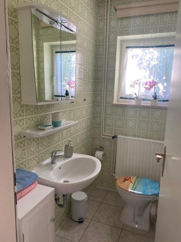 a bathroom with a sink and a toilet and a mirror at Ostsee Ferienwohnung in Scharbeutz
