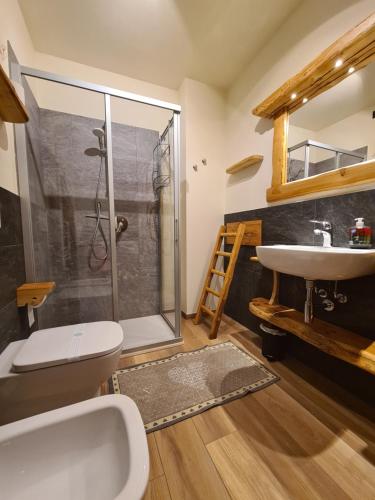 a bathroom with a shower and a toilet and a sink at La Maison. La Roccia dello Stambecco in Bardonecchia
