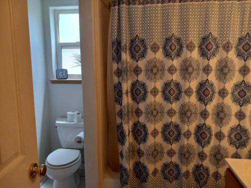 a bathroom with a toilet and a shower curtain at Red Creek Inn and Farm in Paragonah