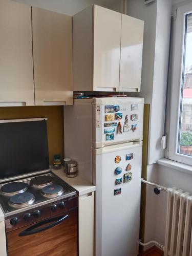 Kuchyň nebo kuchyňský kout v ubytování Apartman Dragana