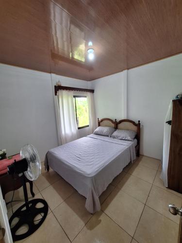 Schlafzimmer mit einem Bett und einem Fenster in der Unterkunft Kiskadee House in Rancho Quemado