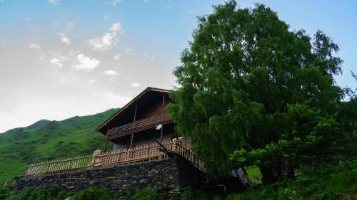 uma casa numa colina ao lado de uma árvore em Gaul Gavkhe Hotel em Ushguli
