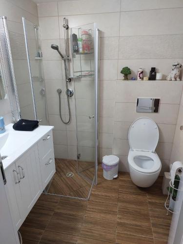 uma casa de banho com um chuveiro, um WC e um lavatório. em Dudger apartment 
