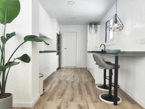 a kitchen with a table and a potted plant at Mazi Apartments Cuba in Mataró