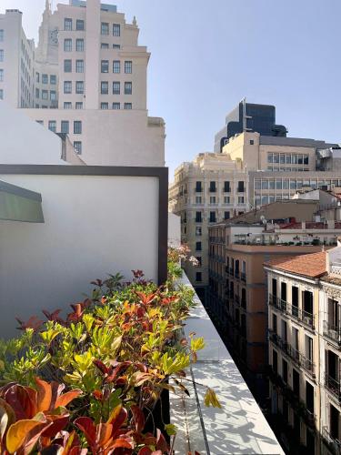7 Islas Hotel photo 39