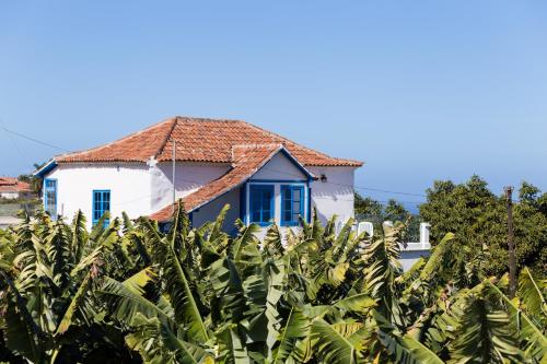 Το κτήριο όπου στεγάζεται  το διαμέρισμα