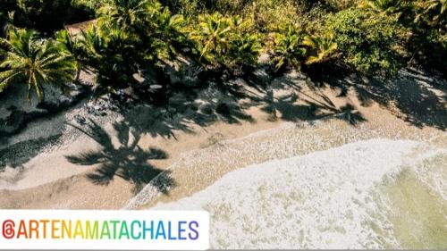 an overhead view of a beach with palm trees at Art Jungle Eco Lodge in Itacaré