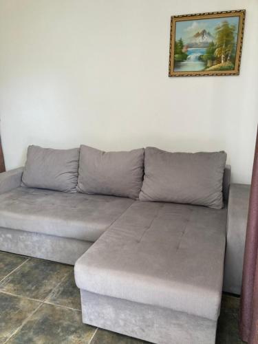 a grey couch in a living room with a picture on the wall at Mijovic Apartments in Budva