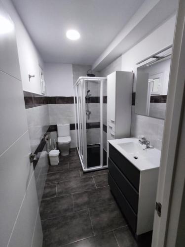 y baño con ducha, lavabo y aseo. en RO Apartamentos Pampin Ponte Do Porto, en A Ponte do Porto