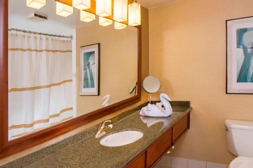 BWI Airport Marriott في لينثيكوم هايتس: حمام مع حوض ومرآة
