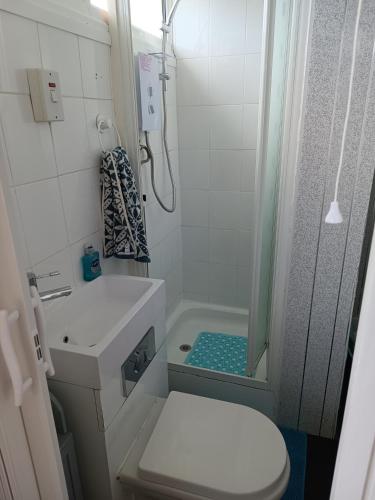 a bathroom with a shower and a toilet and a sink at Chalet 281 Golden Sands Holiday Park in Withernsea