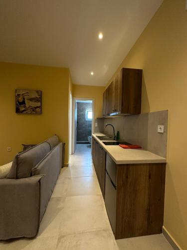 Gallery image of Armenaki in Azolimnos