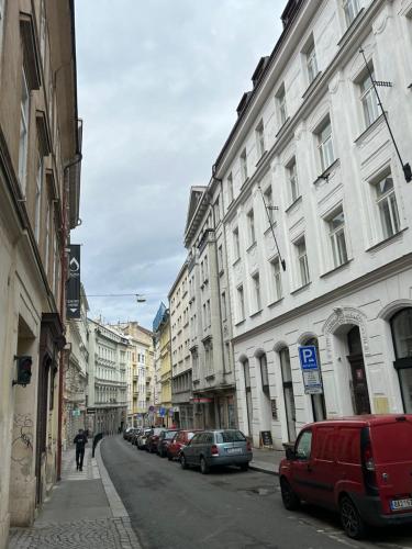 PARTY HOUSE PRAGUE - Apartments Ve Smečkách 18, CITY CENTER!!