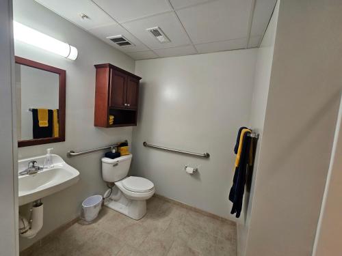 a bathroom with a toilet and a sink at Cozy Studio at the Historic Inman in Champaign
