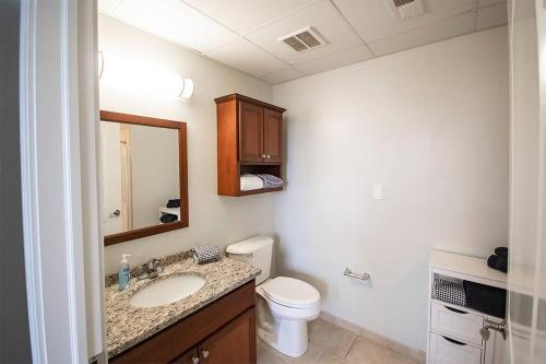a bathroom with a sink and a toilet and a mirror at Stylish 1 BR 1BA at The Inman in Champaign