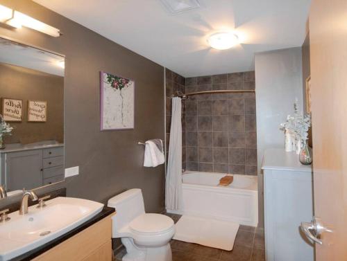 La salle de bains est pourvue de toilettes, d'un lavabo et d'une baignoire. dans l'établissement Luxury Condo in Downtown Champaign, à Champaign