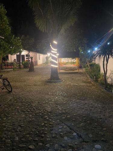 Gallery image of Maguli Home Gonio in Gonio