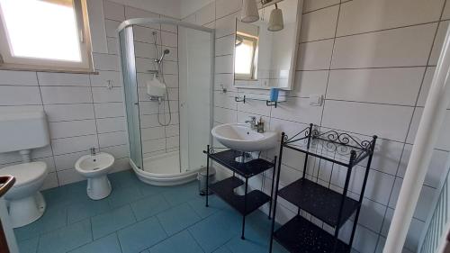 ein Bad mit einem Waschbecken, einer Dusche und einem WC in der Unterkunft Apartment Lucia in Marčana