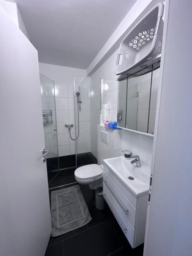 a white bathroom with a toilet and a sink at Sunny Apartments Podersdorf am See in Podersdorf am See