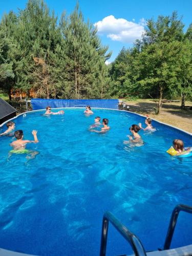 eine Gruppe von Personen, die in einem Schwimmbad schwimmen in der Unterkunft Siedlisko Janopole in Janopole