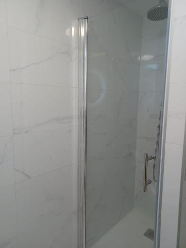 a shower with a glass door in a bathroom at Apartman Skoko in Sevid