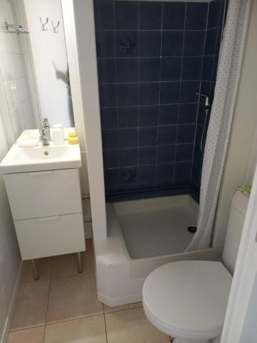une salle de bain avec toilettes, lavabo et douche dans l'établissement Studio mezzanine 32 m2 Port La Nouvelle Quartier des Lacs proche plage, à Port-la-Nouvelle