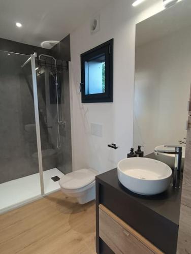une salle de bain avec un lavabo et des toilettes dans l'établissement Loft privatif TYGLAZ - Golfe du Morbihan, à Sarzeau