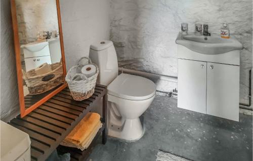 a bathroom with a toilet and a sink and a mirror at Lovely Home In Lundamo With Kitchen 