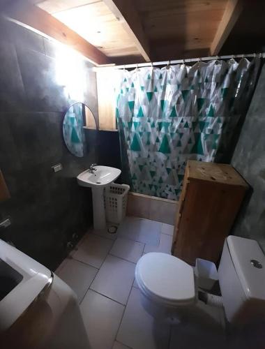 a small bathroom with a toilet and a sink at Rancho express in San Martín de los Andes