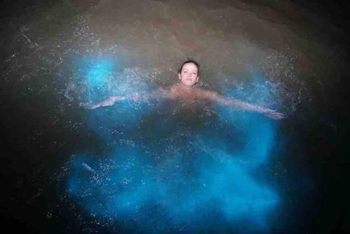 a man swimming in a pool of water at Villa Paradiso in Richmond