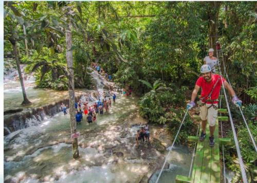 a man on a zip line in the jungle at Villa Paradiso in Richmond