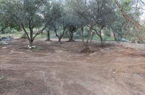 Φωτογραφία από το άλμπουμ του KTIMA ALEXANDROS στον Ποτό