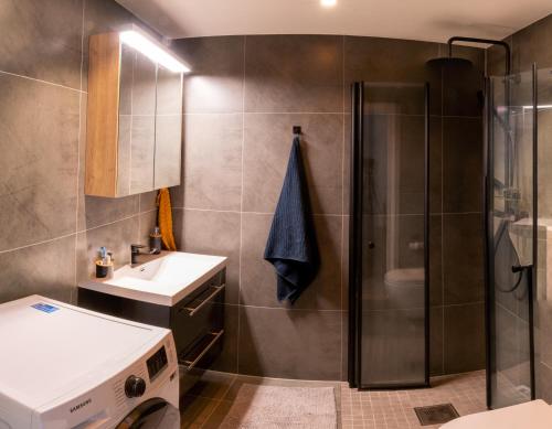 a bathroom with a shower and a sink and a toilet at Modern and Central Apartment, 6 mins to Oslo City in Oslo