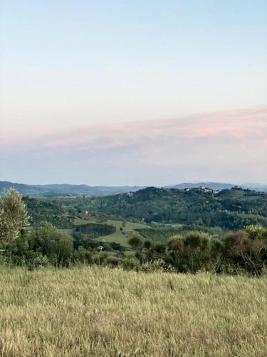 Foto dalla galleria di Podere San Giorgio a Palaia