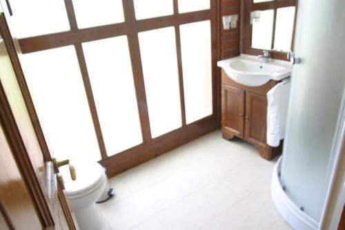 a bathroom with a toilet and a sink and windows at Villa Teleki in Teleki