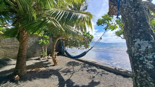 a hammock hanging from two palm trees on a beach at TAHITI - Motu Nono Beach View in Atihiva