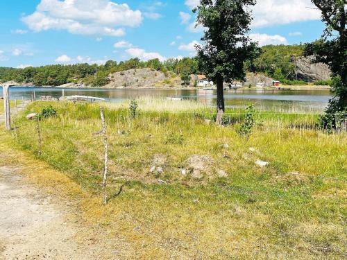 a field of grass next to a river with a tree at 6 person holiday home in HENÅN-By Traum in Henån