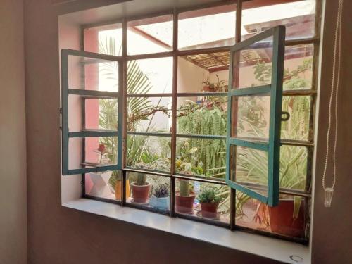 una ventana con macetas en el alféizar de una ventana en La Quinta en Lima
