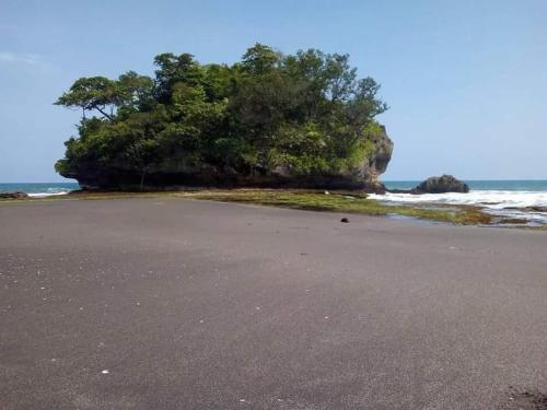 une île avec un arbre sur la plage dans l'établissement fardan Tenda camping madasari, à Pangandaran