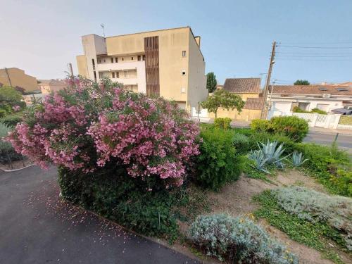 Une brousse avec des fleurs roses sur le côté d'une rue dans l'établissement Studio lumineux près de la plage, 4 pers, parking privé, terrasse – Grau d'Agde - FR-1-423-287, au Grau-dʼAgde