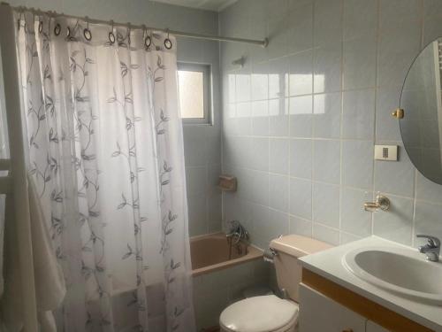 een badkamer met een douchegordijn, een toilet en een wastafel bij HOSTAL AONKEN in Coihaique