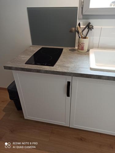 a kitchen counter with a stove and a sink at Le Petit Cosy in Saint-Front-la-Rivière